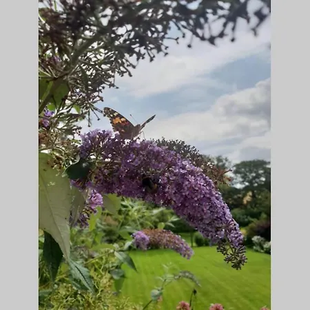 Апартаменти Large 2 Ensuite Bedroom Flat With Lovely Views Лідс