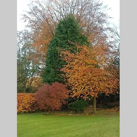 Апартаменти Large 2 Ensuite Bedroom Flat With Lovely Views Лідс