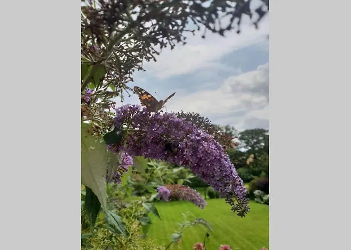 Lägenhet Large 2 Ensuite Bedroom Flat With Lovely Views Leeds (West Yorkshire)