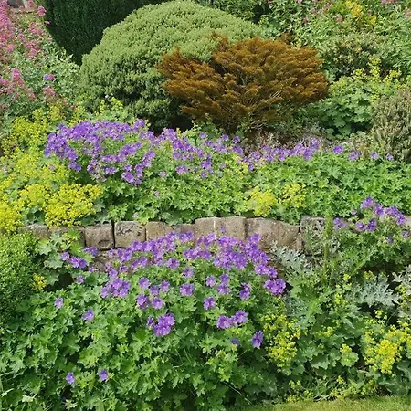 Large 2 Ensuite Bedroom Flat With Lovely Views *